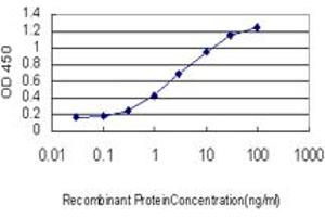 Detection limit for recombinant GST tagged SFRS10 is approximately 0. (TRA2B antibody  (AA 120-199))