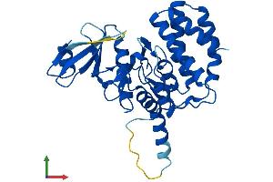 AlphaFold protein structure predicition of Mouse Recombinant Fn3krp Protein, UniprotID Q8K274