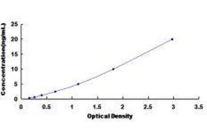 ELISA image for Ephrin Type A Receptor 1 (EPHA1) ELISA Kit (ABIN414631)