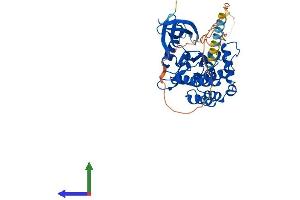 Protein Structure (PS) image for Casein Kinase 1, delta (CSNK1D) (AA 1-415) protein (His tag) (ABIN7554259)