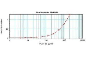 Image no. 4 for anti-PDGF-BB Homodimer antibody (ABIN465590) (PDGF-BB Homodimer antibody)