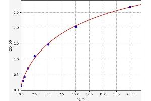 Typical standard curve (PDE7B ELISA Kit)