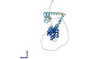 Protein Structure (PS) image for DNA-Damage Inducible 1 Homolog 1 (DDI1) (AA 1-408) protein (His tag) (ABIN7561218)