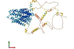 AlphaFold protein structure predicition of Human Recombinant SLC12A8 Protein, UniprotID A0AV02