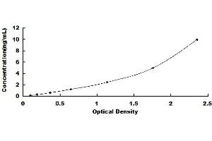 PCSK5 ELISA Kit