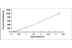 Typical standard curve