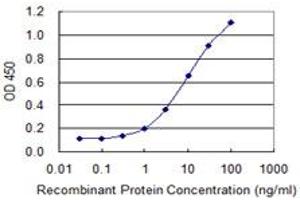 Detection limit for recombinant GST tagged PDAP1 is 0. (PDAP1 antibody  (AA 1-181))