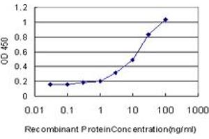 Detection limit for recombinant GST tagged AZIN1 is approximately 0. (Antizyme Inhibitor 1 antibody  (AA 339-447))