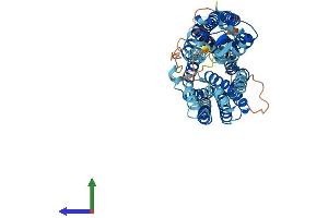 AlphaFold protein structure predicition of Human Recombinant SLC43A2 Protein, UniprotID Q8N370 (SLC43A2 Protein (AA 1-569) (His tag))