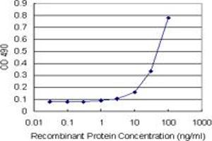 Sandwich ELISA detection sensitivity ranging from 10 ng/mL to 100 ng/mL. (REG1A (Human) Matched Antibody Pair)