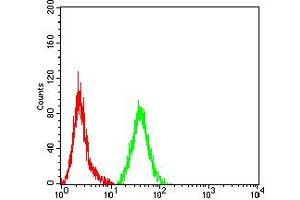 Flow Cytometry (FACS) image for anti-Matrix Metalloproteinase 2 (MMP2) (AA 9-140) antibody (ABIN5885252)