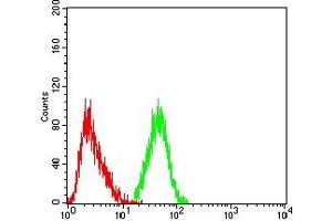 CD21 antibody  (AA 740-964)