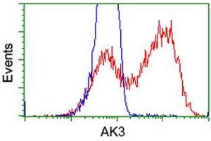 HEK293T cells transfected with either RC204408 overexpress plasmid (Red) or empty vector control plasmid (Blue) were immunostained by anti-AK3 antibody (ABIN2452714), and then analyzed by flow cytometry. (Adenylate Kinase 3 antibody)