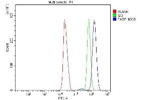 Flow Cytometry analysis of HL-60 cells using anti-PARP antibody (ABIN7602277).