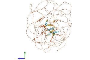 AlphaFold protein structure predicition of Human Recombinant SPATA31A6 Protein, UniprotID Q5VVP1 (FAM75A6 Protein (AA 1-1343) (His tag))