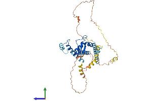 AlphaFold protein structure predicition of Human Recombinant ABRA Protein, UniprotID Q8N0Z2 (ABRA Protein (AA 1-381) (His tag))