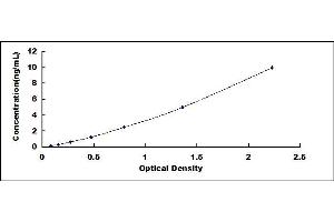 Typical standard curve (ATAD3A ELISA Kit)