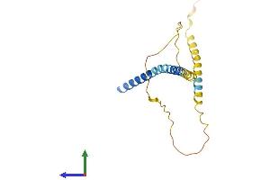 AlphaFold protein structure predicition of Human Recombinant FATE1 Protein, UniprotID Q969F0 (FATE1 Protein (AA 1-183) (His tag))
