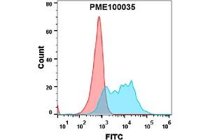 Flow cytometry analysis with 1 μg/mL Human BCMA Protein, mFc tag (ABIN6961108) on Expi293 cells transfected with human BAFF (Blue histogram) or Expi293 transfected with irrelevant protein (Red histogram). (BCMA Protein (mFc Tag))