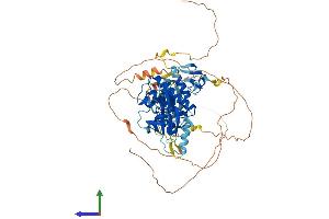 AlphaFold protein structure predicition of Mouse Recombinant Raf1 Protein, UniprotID Q99N57 (RAF1 Protein (AA 1-648) (His tag))