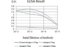 Black line: Control Antigen (100 ng),Purple line: Antigen (10 ng), Blue line: Antigen (50 ng), Red line:Antigen (100 ng) (FIP200 antibody  (AA 148-244))