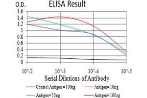 Black line: Control Antigen (100 ng);Purple line: Antigen (10ng); Blue line: Antigen (50 ng); Red line:Antigen (100 ng) (ESRRA antibody  (AA 198-376))