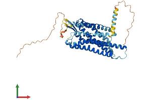 Protein Structure (PS) image for Prokineticin Receptor 1 (PROKR1) (AA 1-393) protein (His tag) (ABIN7550826)
