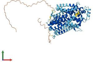 AlphaFold protein structure predicition of Human Recombinant SLC11A2 Protein, UniprotID P49281