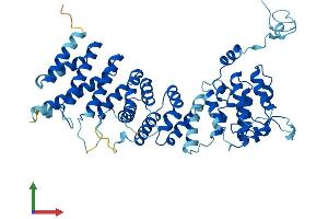 AlphaFold protein structure predicition of Human Recombinant NOC4L Protein, UniprotID Q9BVI4 (NOC4L Protein (AA 1-516) (His tag))