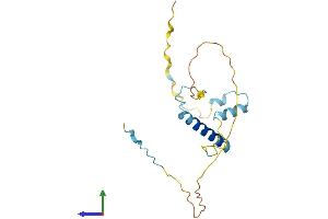 AlphaFold protein structure predicition of Mouse Recombinant Smap Protein, UniprotID Q9R0P4