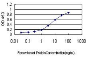 Detection limit for recombinant GST tagged NMNAT2 is approximately 0. (NMNAT2 antibody  (AA 208-307))