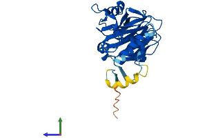 Protein Structure (PS) image for SplA/ryanodine Receptor Domain and SOCS Box Containing 1 (SPSB1) (AA 1-273) protein (His tag) (ABIN7546389)