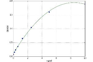 Pyruvate Dehydrogenase alpha (PDHa) ELISA Kit