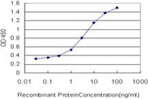 Detection limit for recombinant GST tagged YAP1 is approximately 0. (YAP1 antibody  (AA 53-161))