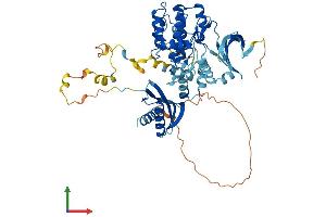 AlphaFold protein structure predicition of Human Recombinant PRKAA2 Protein, UniprotID P54646 (PRKAA2 Protein (AA 1-552) (His tag))