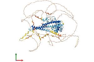 AlphaFold protein structure predicition of Human Recombinant MICALL1 Protein, UniprotID Q8N3F8 (MICAL-Like 1 Protein (MICALL1) (AA 1-863) (His tag))
