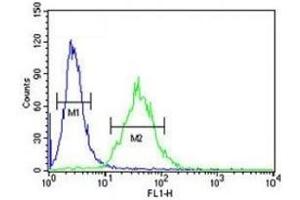 CEBPB antibody flow cytometric analysis of 293 cells (green) compared to a negative control (blue). (CEBPB antibody  (AA 271-298))