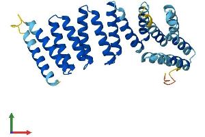 Protein Structure (PS) image for N-Ethylmaleimide Sensitive Fusion Protein Attachment Protein beta (NAPB) (AA 1-298) protein (His tag) (ABIN7563060)