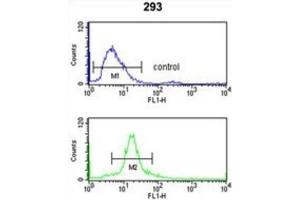 Flow Cytometry (FACS) image for anti-Sjogren Syndrome Antigen B (SSB) antibody (ABIN3001636) (SSB antibody)