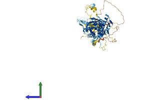 AlphaFold protein structure predicition of Mouse Recombinant Med17 Protein, UniprotID Q8VCD5 (MED17 Protein (AA 1-649) (His tag))