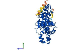 Protein Structure (PS) image for TBC1 Domain Family, Member 7 (TBC1D7) (AA 1-293) protein (His tag) (ABIN7544195)