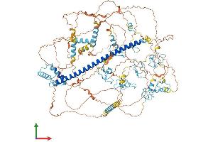 Protein Structure (PS) image for Myelin Transcription Factor 1 (MYT1) (AA 1-1127) protein (His tag) (ABIN7564554)