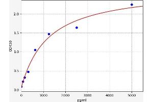 Typical standard curve (NGFR ELISA Kit)
