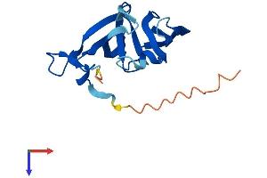 Family with Sequence Similarity 72, Member A (FAM72A) (AA 1-149) protein (His tag)