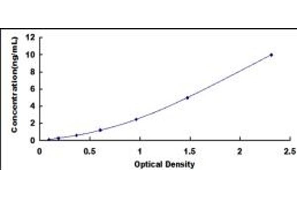 ERCC5 ELISA Kit