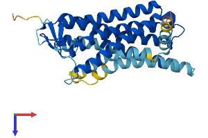 AlphaFold protein structure predicition of Human Recombinant OR10G7 Protein, UniprotID Q8NGN6 (OR10G7 Protein (AA 1-311) (His tag))