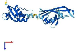 AlphaFold protein structure predicition of Mouse Recombinant Kctd21 Protein, UniprotID Q3URF8 (KCTD21 Protein (AA 1-260) (His tag))