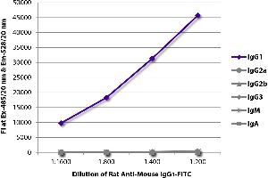 FLISA plate was coated with purified mouse IgG1, IgG2a, IgG2b, IgG3, IgM, and IgA. (Rat anti-Mouse IgG1 Antibody (FITC))