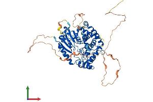 AlphaFold protein structure predicition of Mouse Recombinant Dnaaf3 Protein, UniprotID Q3UYV8 (DNAAF3 Protein (AA 1-586) (His tag))