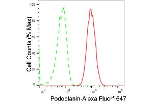 Flow cytometric analysis of Podoplanin expression in HAP-1 cells using Podoplanin antibody (ABIN7799861), 1:2,000).
